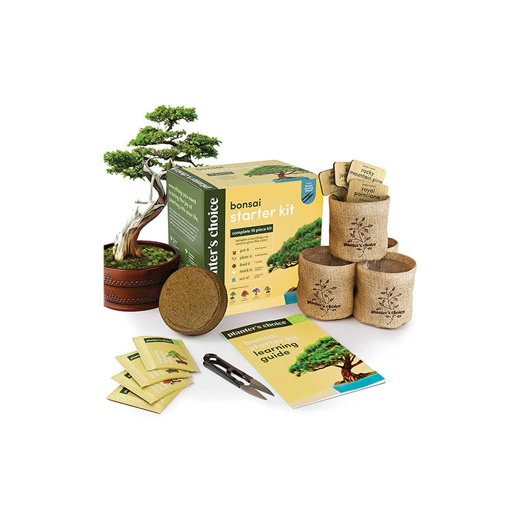 Untitled-1-36-1 Bonsai Starter Kit - Image 1